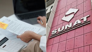 Cómo declarar inversiones en SUNAT paso a paso