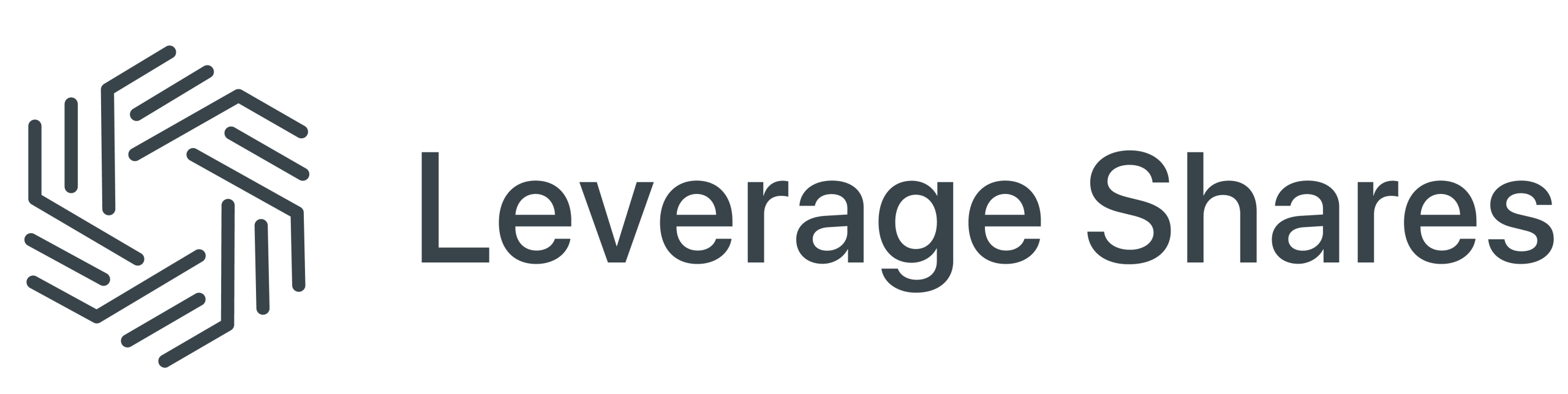 Logo Leverage Shares