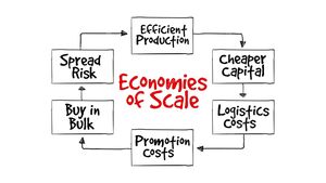 Guía sobre las Economías de Escala