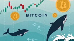 El papel de las ballenas en el precio del Bitcoin