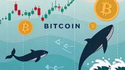 Cómo influyen las ballenas en el mercado de Bitcoin y su precio