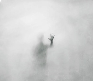 El rebalanceo (RESET) de mi cartera en el Desafío Rankia.