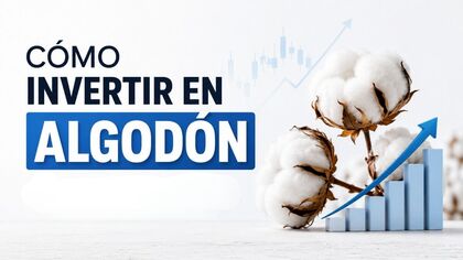 Cómo invertir en algodón desde Argentina