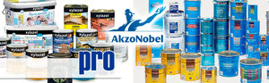 AKZONOBEL: la eficiencia como última palanca de valor