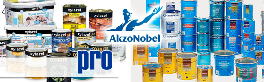 AKZONOBEL: la eficiencia como última palanca de valor
