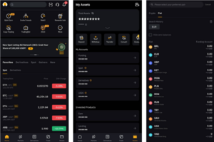 ¿Cómo Pasar Tu Dinero De Bybit A Otro Exchange?