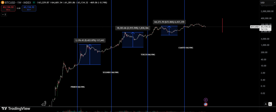 bitcoin halving