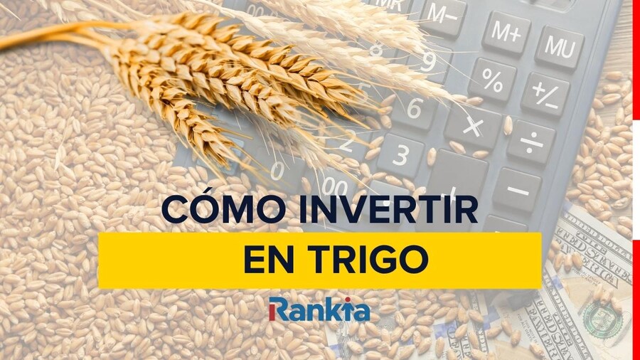¿Cómo invertir en trigo?
