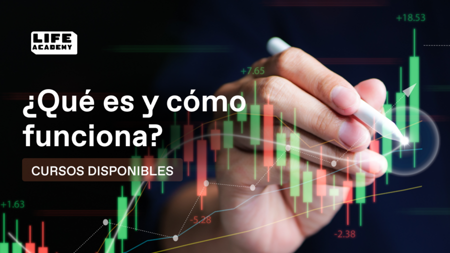Life Academy: qué es, cursos y precios