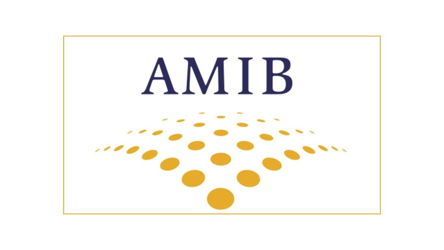 logo amib