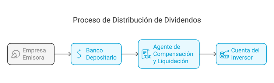 distribución de dividendos