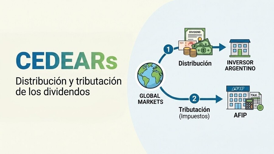 Distribución y tributación de dividendos