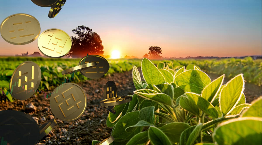 Yield Farming