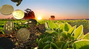 Yield Farming: qué es, mejores protocolos y cómo hacerlo desde Chile