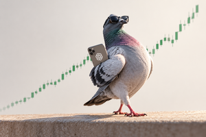 El pecho palomo GPTeado: cuando cuatro años buenos y ChatGPT te convierten en Warren Buffett