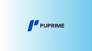 PU Prime: opiniones, tipos de cuenta, comisiones y plataformas