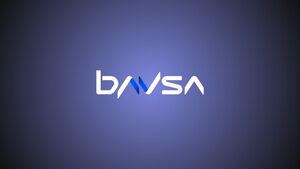 Buenos Aires Valores (Bavsa): review completa
