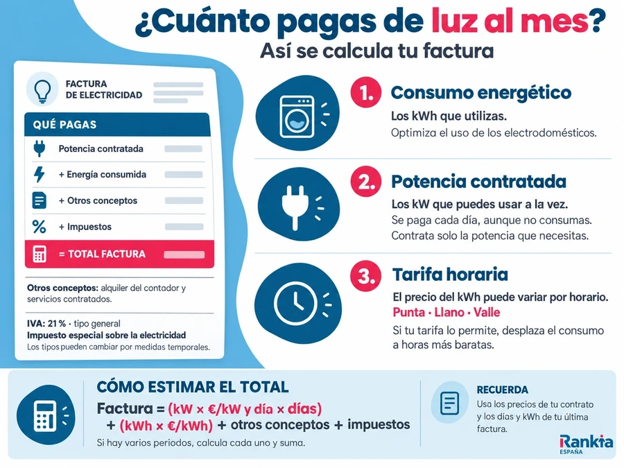 Desglose de la factura de luz: consumo, potencia contratada, tarifa horaria, otros conceptos e impuestos.