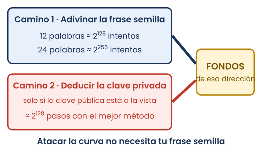Dos caminos hacia los fondos de una dirección, adivinar la frase semilla o deducir la clave privada de una clave pública visible