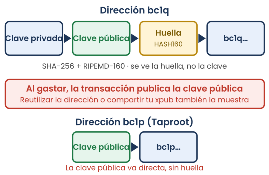 Cadena de clave privada, clave pública, huella y dirección bc1q, y debajo la dirección bc1p con la clave pública visible