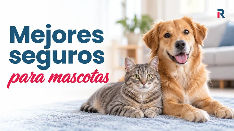 Perro y gato sobre una alfombra junto al titular «Mejores seguros para mascotas».