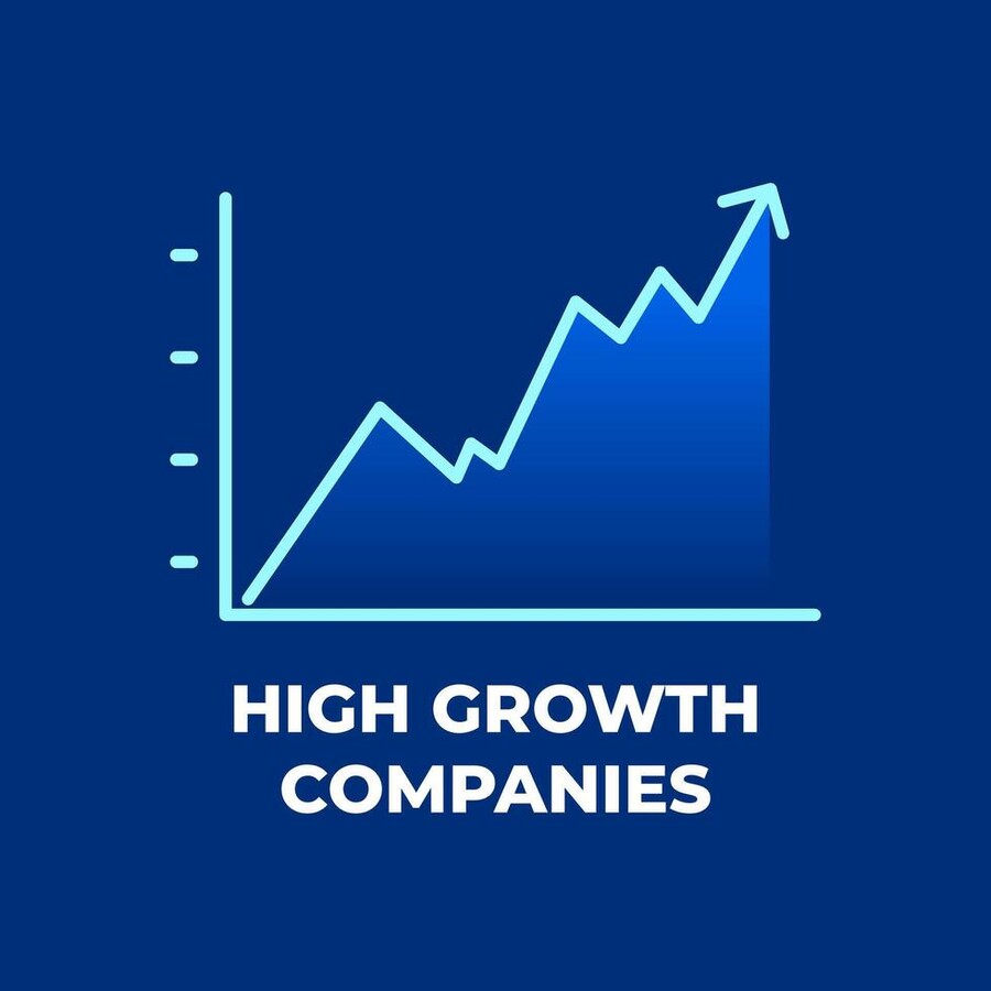 10 Compañías de Crecimiento para ganar al Mercado...