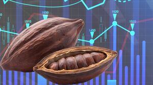 ¿Cómo invertir en cacao?