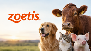 Acciones de Zoetis: ¿merece la pena comprarlas tras caer un 67 % desde su máximo? Cómo hacerlo